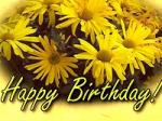 Birthday Cards